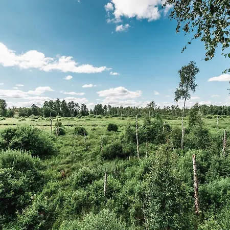 Maidla Nature *