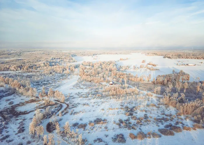 فيلة Maidla Nature *